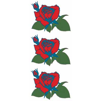 �^�g�D�[�V�[���@���K�N�i�^�g�D�[�E�h�V�[���j