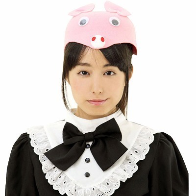 �A�j�}���X�q�@�E�T�M�i�R�X�`���[���j