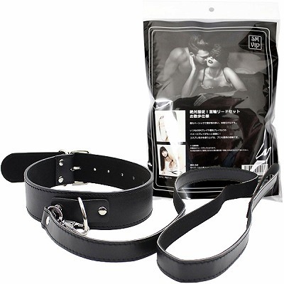 ���r�l�@�u�h�o����Ε��]�I��փ��[�h�Z�b�g�@���U���d�l�iSM�E�S����j