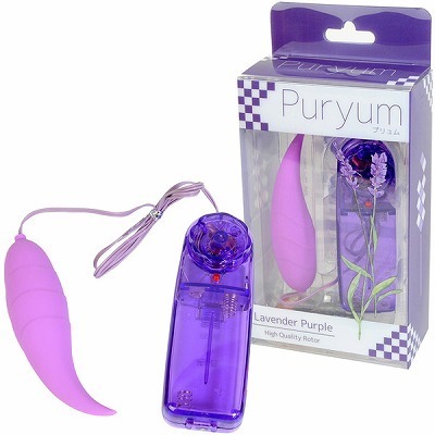 �v�������@�i�p�[�v���j�i���[�^�[�j