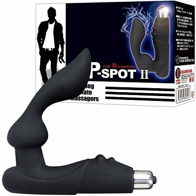 ���̂o�|�r�o�n�s�@�i�Q�j�@�r�M�i�[�i�A�i���g���O�b�Y�j