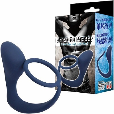 �v���X�e�[�g�}�X�^�[�i�A�i���g���O�b�Y�j