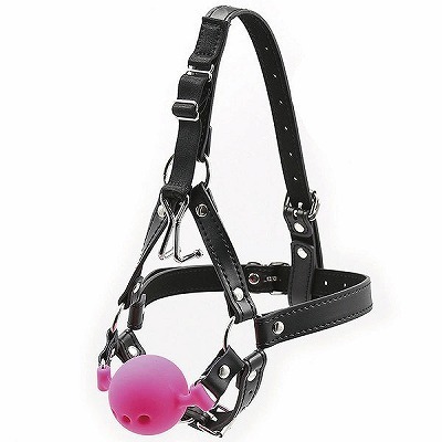 ���r�l�@�u�h�o���@�t�b�N�{�[���M���O�n�[�l�X�@�i�s���N�j�iSM�E�S����j