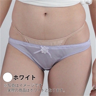 �ʋC���̗ǂ�����C���S���t���o�b�N�@�i�z���C�g�j�i�����W�F���[�j