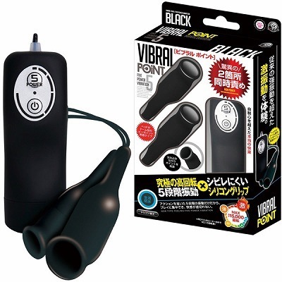 �r�u�����@�|�C���g�@�i�u���b�N�j�i���[�^�[�j