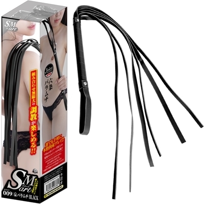 �r�l�������i�X�}�[�g�j�@�X�@���iSM�E�S����j