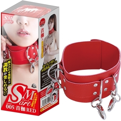 �r�l�������i�X�}�[�g�j�@�T�@�ԁiSM�E�S����j