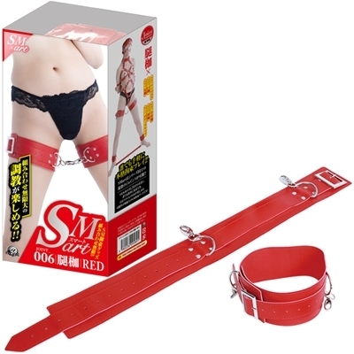 �r�l�������i�X�}�[�g�j�@�U�@�ԁiSM�E�S����j