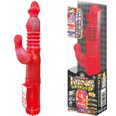 �V�I�t�L���O�@�i�o�j�i�o�C�u�j