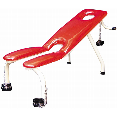 �����C�N�`�F�A�[�i�Ɩ��p�i�j