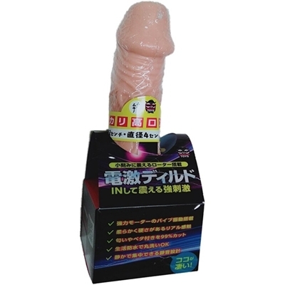 �d���f�B���h�@�i�J���������O�j�i�������E�f�B���h�j