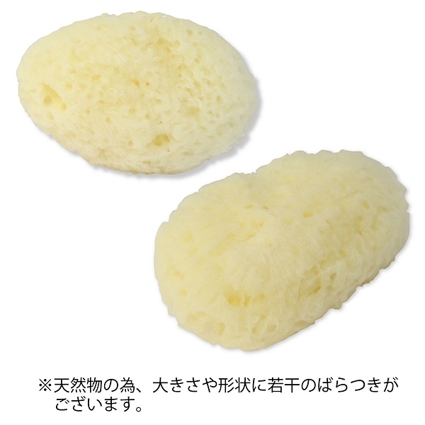 �V�R�C�ȁ@��T�����@�i�P�i�j