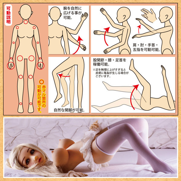 �Ղ��h�[���@�i�P�O�O�����@�G���i�j